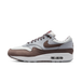 Nike Air Max 1 Premium (2023) 'Shima Shima III'-10052058218826-The Attic