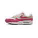 Nike Air Max 1 'Aster Pink' (W)