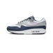 Nike Air Max 1 'Obsidian Lilac Bloom'