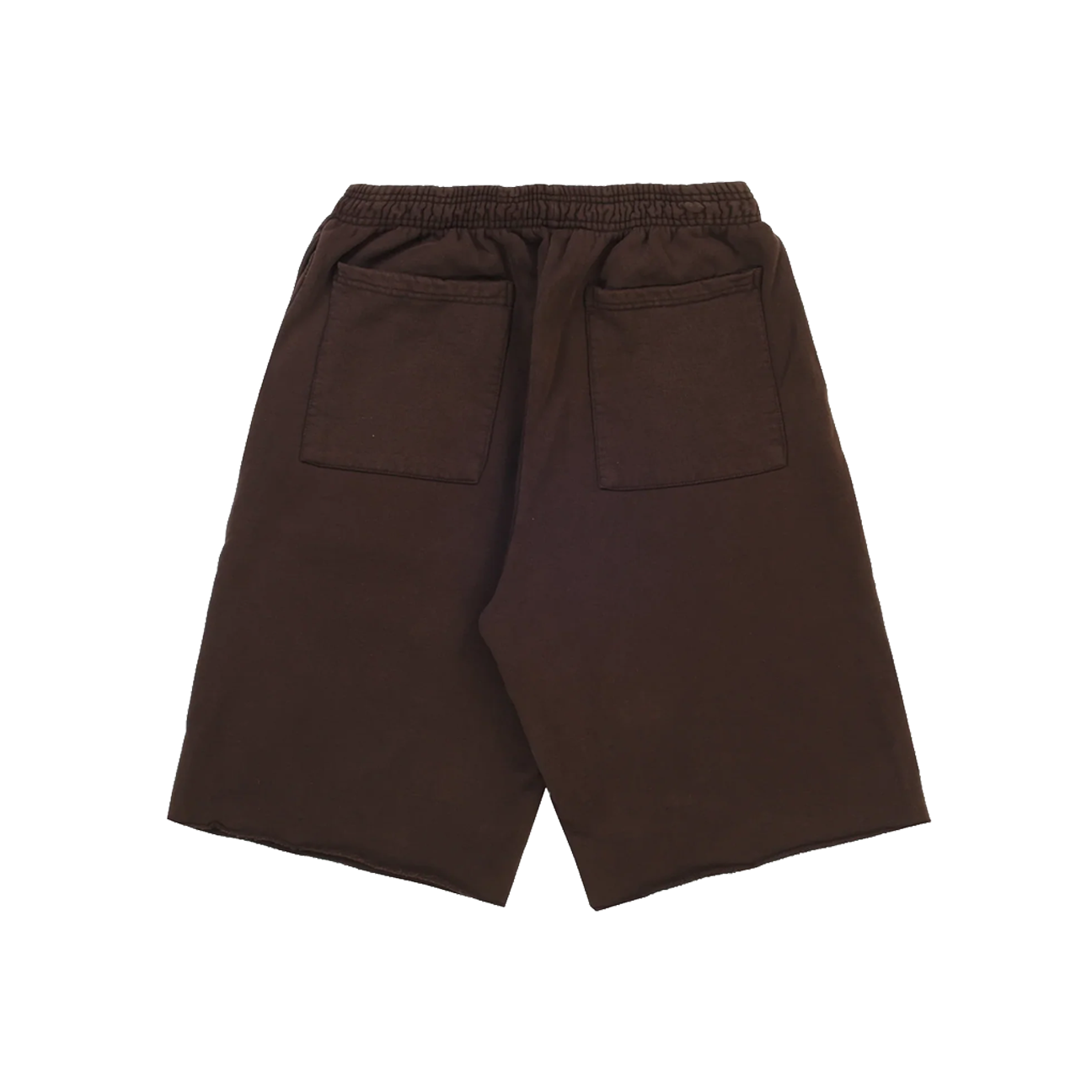 Travis Scott Cactus Jack x Sp5der Days Before Rodeo Shorts 'Brown'