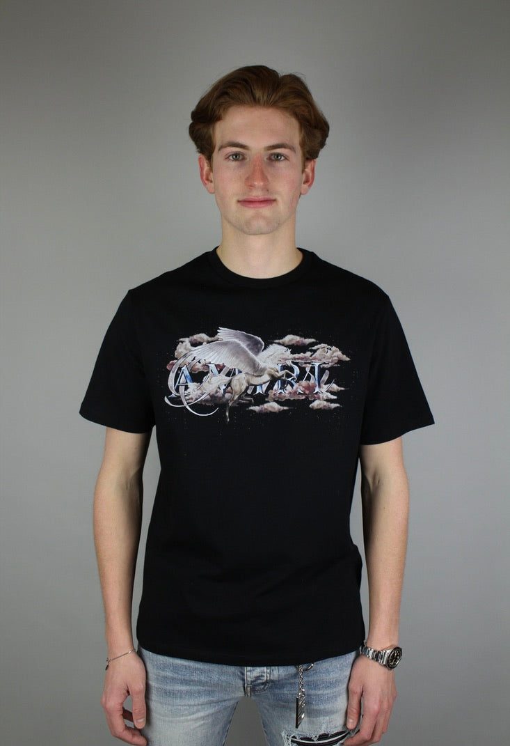 Amiri Pegasus Script-print T-shirt 'Black'-9642147578186-The Attic