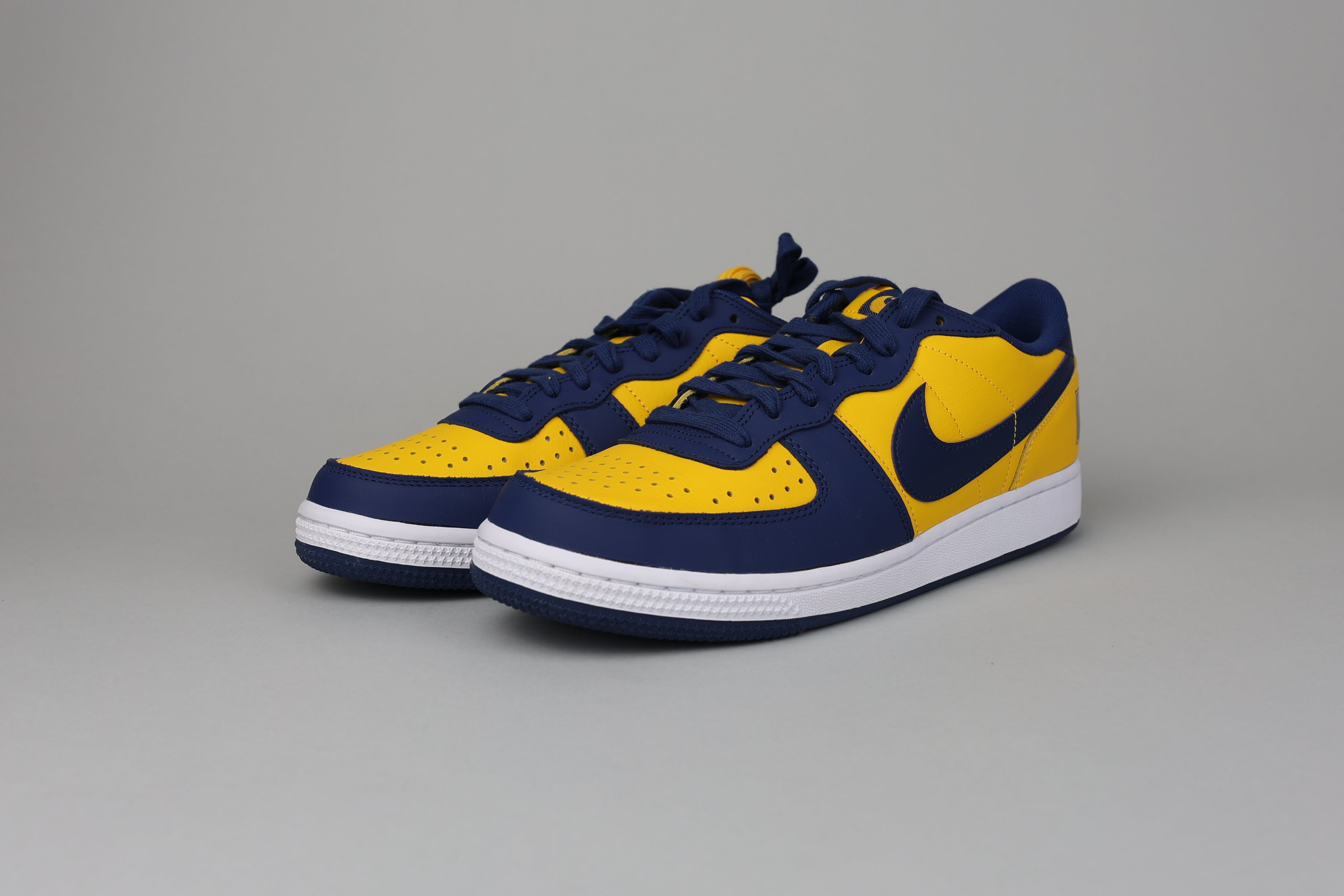 Nike Terminator Low Michigan - size 42.5 / 42 (ARCHIVE)-8644531880266-The Attic