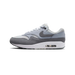 Nike Air Max 1 '87 'Photon Dust Wolf Grey'