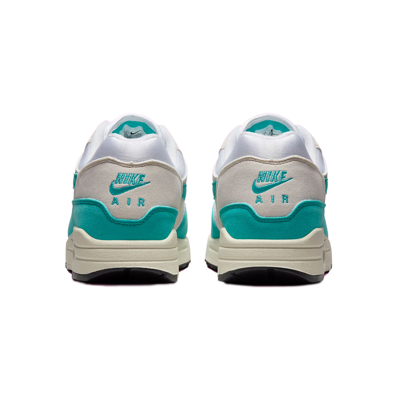 Nike Air Max 1 Dusty Cactus (W)